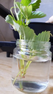 20190824_102820.jpg