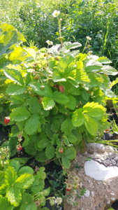 20190825_091714.jpg
