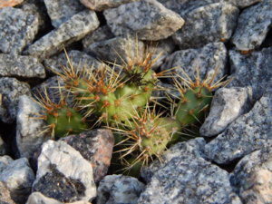 DSCN4297.JPG