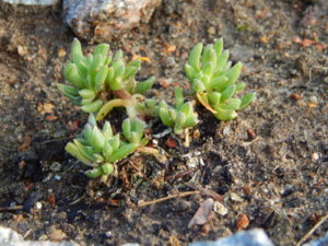 DSCN4299.JPG