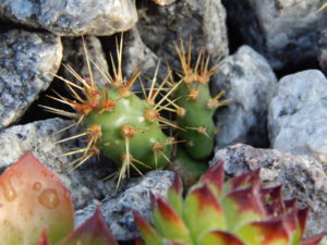 DSCN4301.JPG