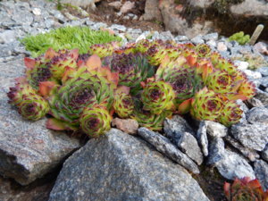 DSCN4302.JPG