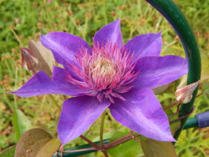 DSCN4263.JPG