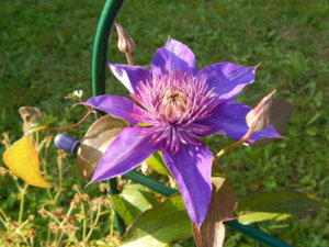 DSCN9454.JPG
