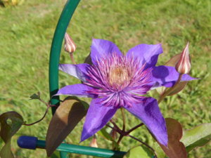 DSCN9491.JPG