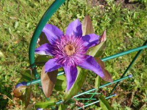 DSCN9492.JPG