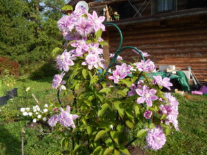 DSCN4254.JPG