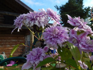 DSCN4256.JPG