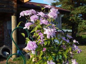 DSCN9457.JPG