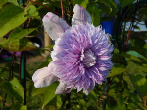 DSCN9458.JPG