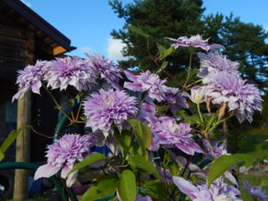 DSCN9459.JPG