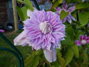 DSCN9461.JPG