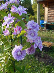 DSCN9485.JPG