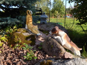 DSCN9421.JPG