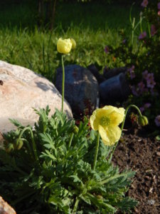 DSCN9381.JPG