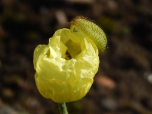 DSCN9383.JPG