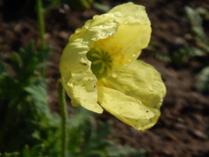 DSCN9386.JPG