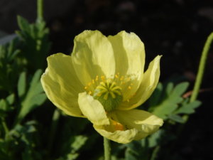 DSCN9429.JPG