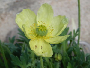 DSCN9514.JPG