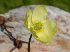 DSCN9515.JPG