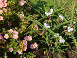 DSCN9430.JPG