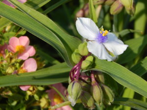 DSCN9431.JPG