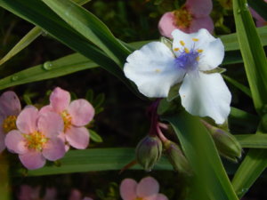 DSCN9513.JPG