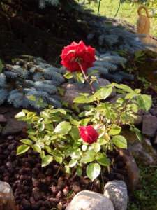 DSCN9402.JPG