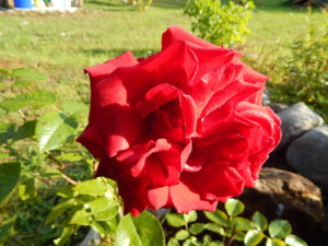 DSCN9405.JPG