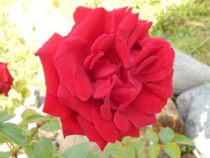 DSCN9422.JPG