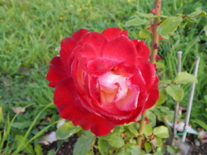 DSCN9372.JPG