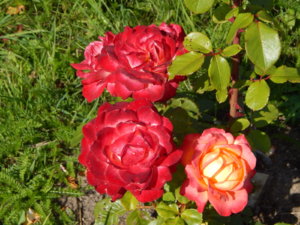 DSCN4165.JPG