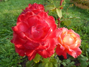 DSCN4207.JPG