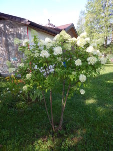 DSCN9410.JPG