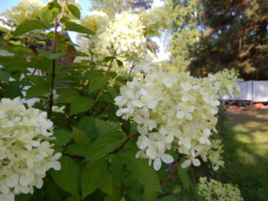 DSCN9412.JPG