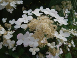 DSCN3814.JPG