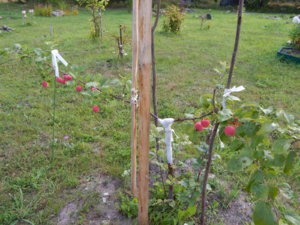 DSCN3876.JPG