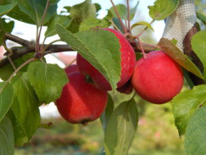 DSCN9374.JPG