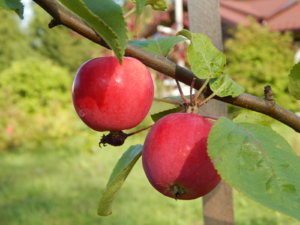 DSCN9375.JPG