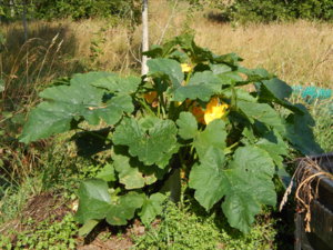 DSCN9417.JPG