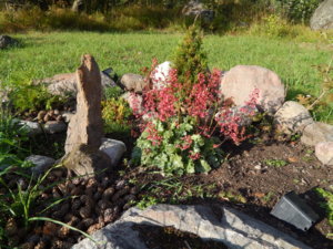DSCN9436.JPG
