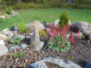 DSCN9519.JPG