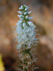 DSCN9390.JPG