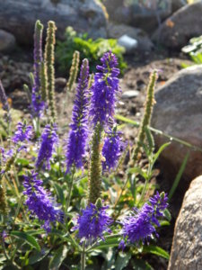 DSCN9396.JPG