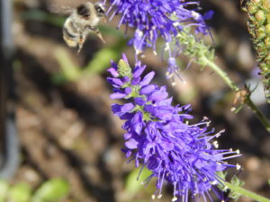 DSCN9526.JPG