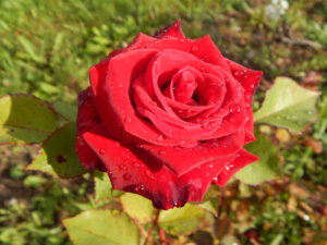 DSCN4260.JPG