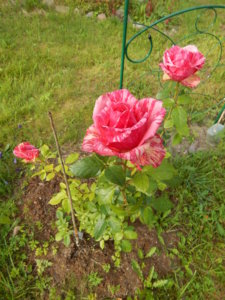 DSCN3821.JPG