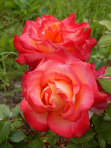 DSCN3900.JPG
