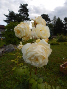 DSCN3902.JPG