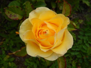 DSCN3994.JPG